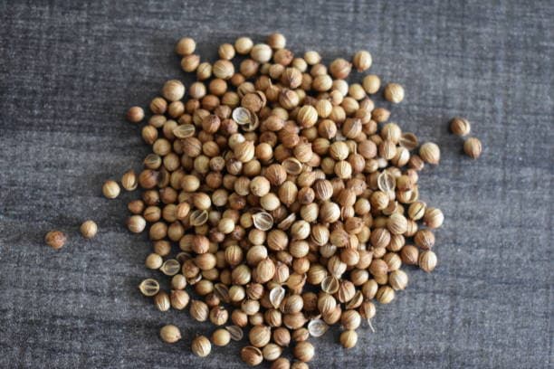 تصویر 1 از قیمت تخم گشنیز خوش طعم + خرید باور نکردنی